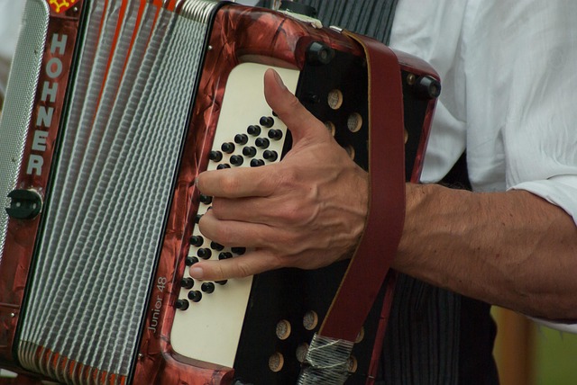  Akordeonun Tarihçesi ve Özellikleri