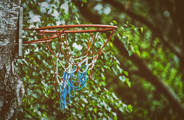  Basketbol’da Oyun Kuralları