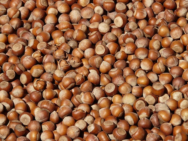  FINDIĞIN FAYDALARI