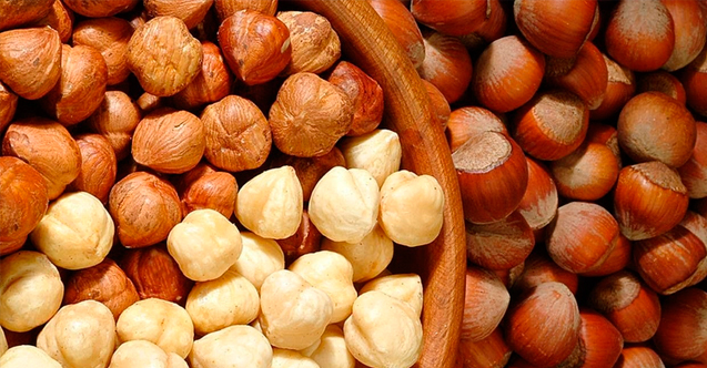  Fındık Bir Mucizedir Ve Faydaları Saymakla Bitmez Ama