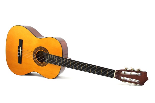  Gitarın Tarihçesi ve Özellikleri